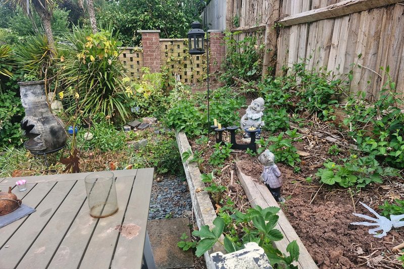 An overgrown rear garden with weeds, bare soil and a tired timber edging before work began.